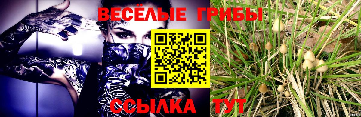 Псилоцибиновые грибы мухоморы Малгобек