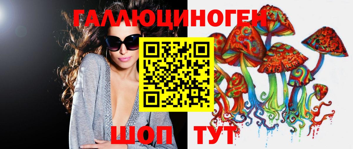 Малгобек  Псилоцибиновые грибы MAGIC MUSHROOMS  Вход с VPN 