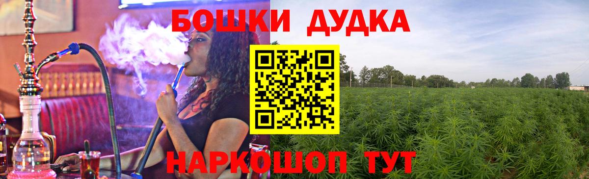 Канабис сатива Малгобек